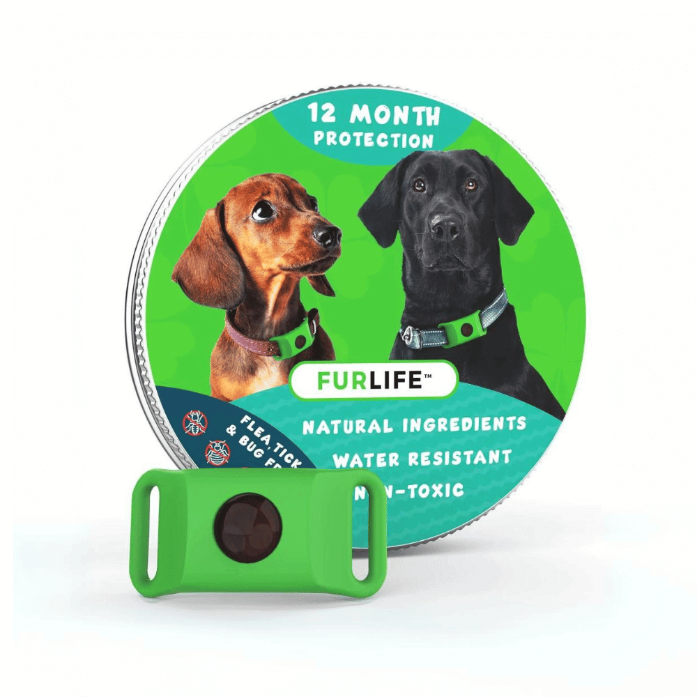 flea and tick protection